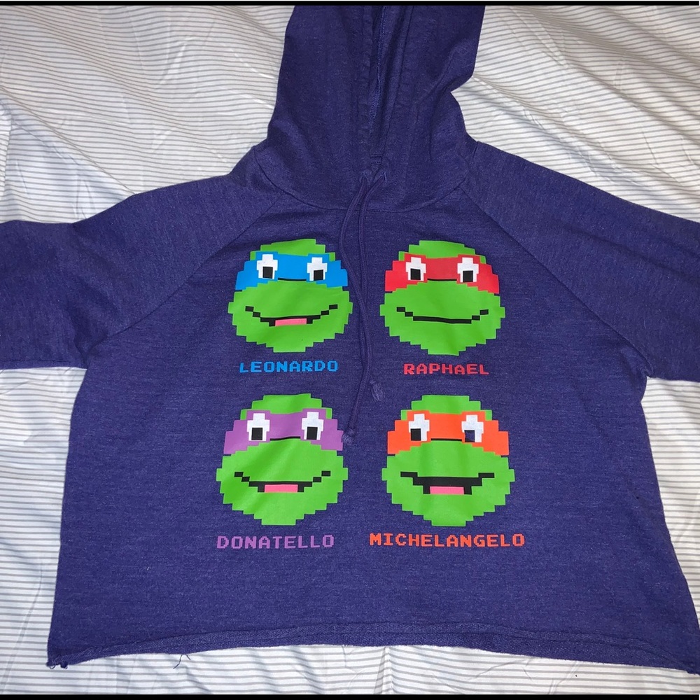 Ninja Turtle cropped hoodie